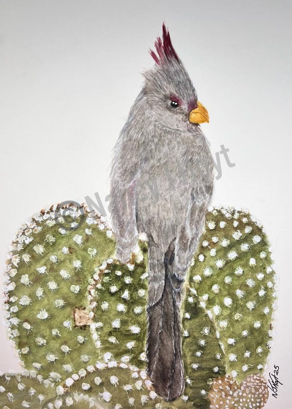 Kaktus Vogel Kunstdruck - Stacheliger Barsch - Etsy Schweiz