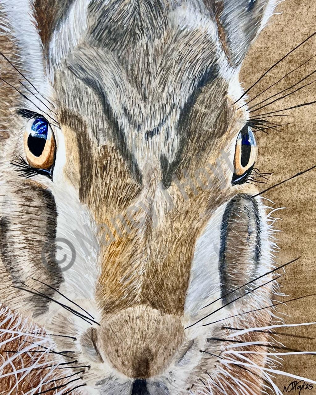 Rabbit Art Print - Bright Eyed - Etsy