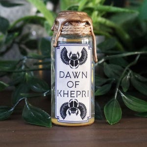 Khepri Mini Potion : Egyptian Mythology, TTRPG Prop, Bookshelf Decor, Fantasy Gift