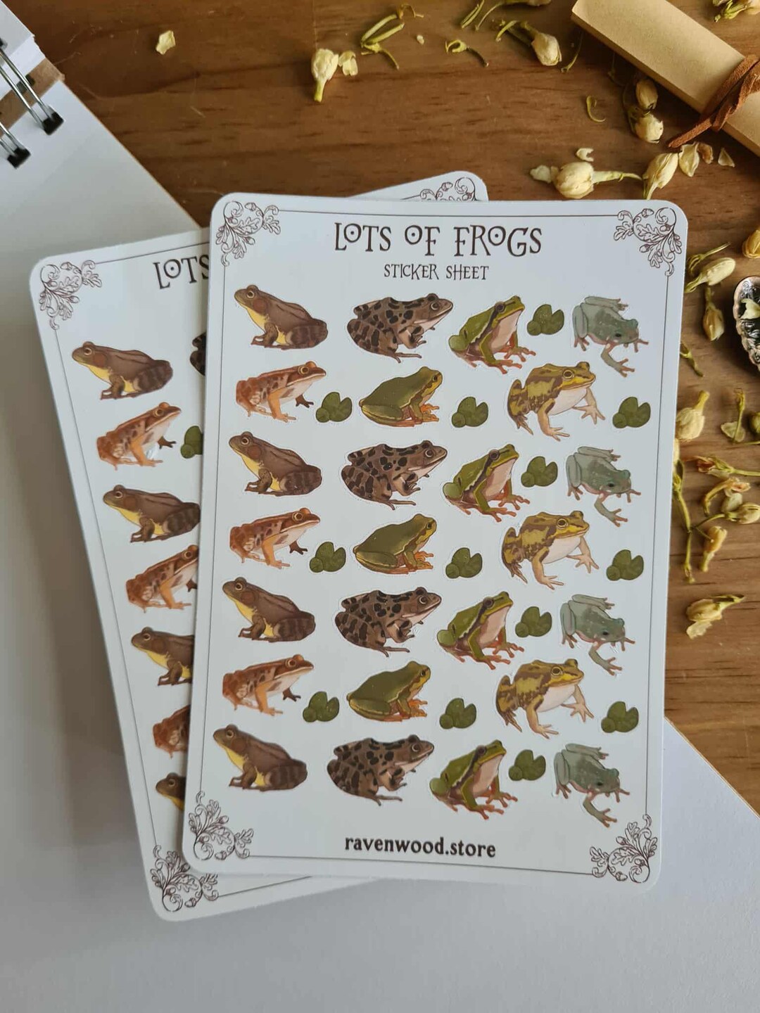 Frog Sticker Sheet - Planner Stickers - Bullet Journal - Journaling ...