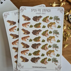 Puede incluir: Dos hojas de pegatinas con ilustraciones de ranas en tonos marrones, verdes y beiges. Las pegatinas están etiquetadas como "LOTS OF FROGS" y "STICKER SHEET". El sitio web "ravenwood.store" está impreso en la parte inferior.
