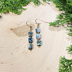 Abalone Drop Earrings