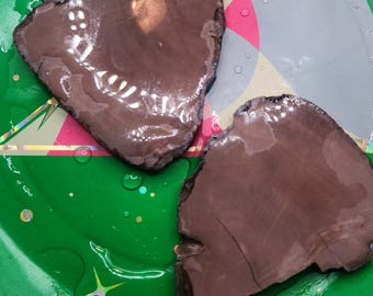 North Carolina Petrified Wood Slab - Medium