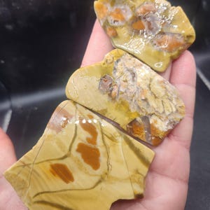 May include: Three polished, irregularly shaped stones with a mix of colors. The stones have a base of tan and yellow with brown and orange patterns. The top stone has a mix of orange and white spots. The stones are held in a hand.