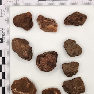 Puede incluir: Nueve piedras de forma irregular de color marrón y beige sobre una superficie blanca. Las piedras son de varios tamaños y formas. Una regla con marcas en pulgadas es visible en el fondo.