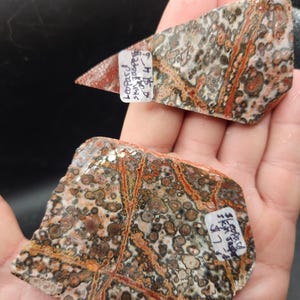 Leopard Skin Jasper Slabs (unpolished)