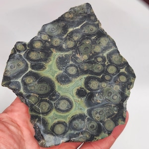 Kambaba Jasper Slabs (unpolished)