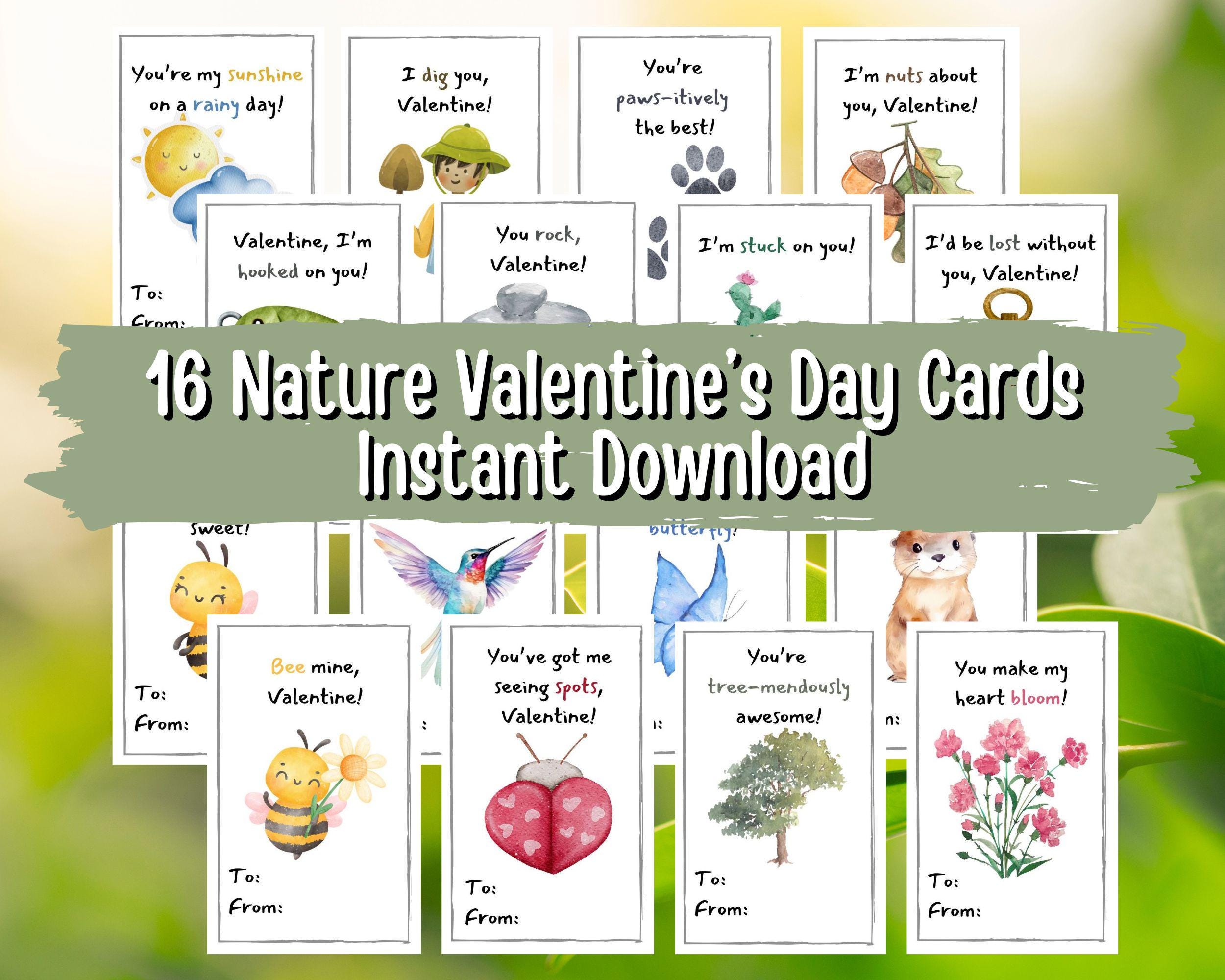 Nature Valentine Day Cards Nature Puns Woodland Forest Outdoor School  Valentines for Preschool Kindergarten Homeschool Card for Boys Girls - Etsy