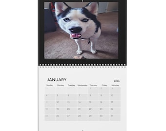 Puede incluir: Un calendario de pared de 2026 con una foto de un perro Husky siberiano blanco y negro. El calendario está abierto a enero, con los días de la semana y las fechas visibles. El perro mira directamente al espectador.