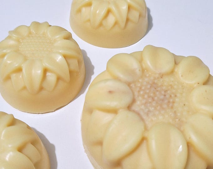Chamomile Infused Lotion Bars, Honey Oatmeal Scent with Sunflower Petals, Mango & Shea Butter, Enriched with Collidal Oats
