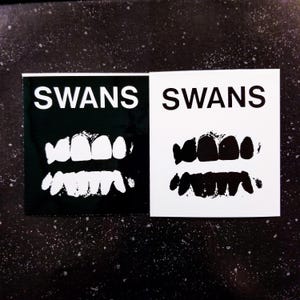Puede incluir: Pegatina en blanco y negro con la palabra "SWANS" impresa en blanco sobre fondo negro y la palabra "SWANS" impresa en negro sobre fondo blanco. Cada lado presenta un gráfico de un conjunto de dientes.