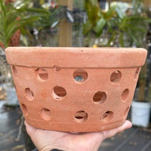 8” Clay Orchid Pots with holes- Various Designs