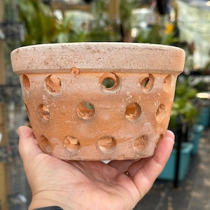 6” Clay Orchid Pots with holes- Various Designs
