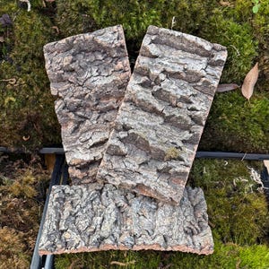 Cork Bark- Flats 4”x 7.5”