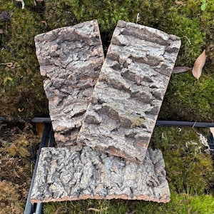 Cork Bark- Flats 4”x 7.5”