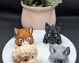 Fidget Twists para perros y gatos, juguetes antiestrés, mascotas, animales, diversión.