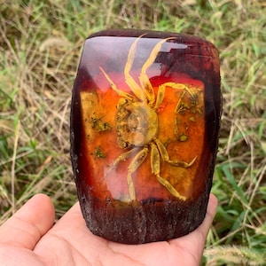 Peut inclure: Un presse-papier rectangulaire en résine avec un crabe préservé. Le crabe est centré sur un fond orange et rouge vif, enfermé dans de la résine transparente. Le presse-papier a une base marron foncé.