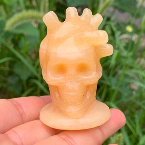Skullis Crystal Skull, Yellow calcite  Hand Carved Skull Fine Art Sculpture, Crystal Healing, Home Decor, Gif