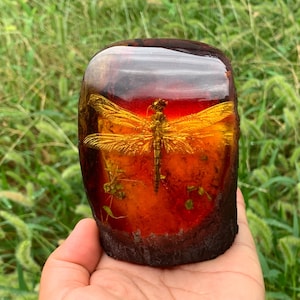 Könnte beinhalten: Ein rechteckiger, bernsteinfarbener Harzblock, der eine goldene Libelle umschließt. Die Libelle befindet sich in der Mitte des Blocks, mit ausgebreiteten Flügeln. Das Harz hat eine dunkelbraune Basis und einen rot-orangen Innenraum.