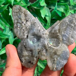 2,5&quot; Naturalny labradoryt kwarcowy kryształ Motyl Czaszka, Kwarcowy Motyl, Kryształowa Rzeźba Motyla, Kryształowa Energia, Kryształowy Prezent, 1 szt.