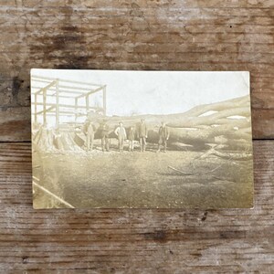 Antique RPPC Real Photo Postcard Greeting Souvenir Postcard Men with Fallen Tree Group