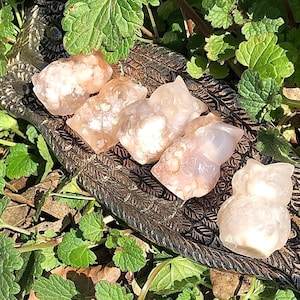 May include: Five small, white agate owl figurines with brown and white markings. The owls are arranged in a row on a dark, textured surface.