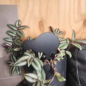 May include: A black metal kiwi bird silhouette ornament is placed in a pot of green and white striped foliage.