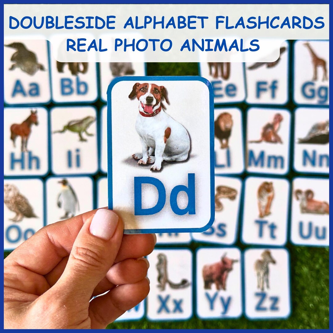 Educational ABC Flash Cards: Real Photo Animals & Numbers for ...