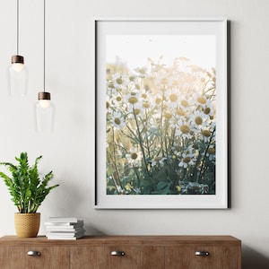 May include: A framed print featuring a field of daisies in full bloom, with white petals and yellow centers. The image is bathed in sunlight, creating a warm, inviting atmosphere. The print is displayed on a white wall above a wooden cabinet.