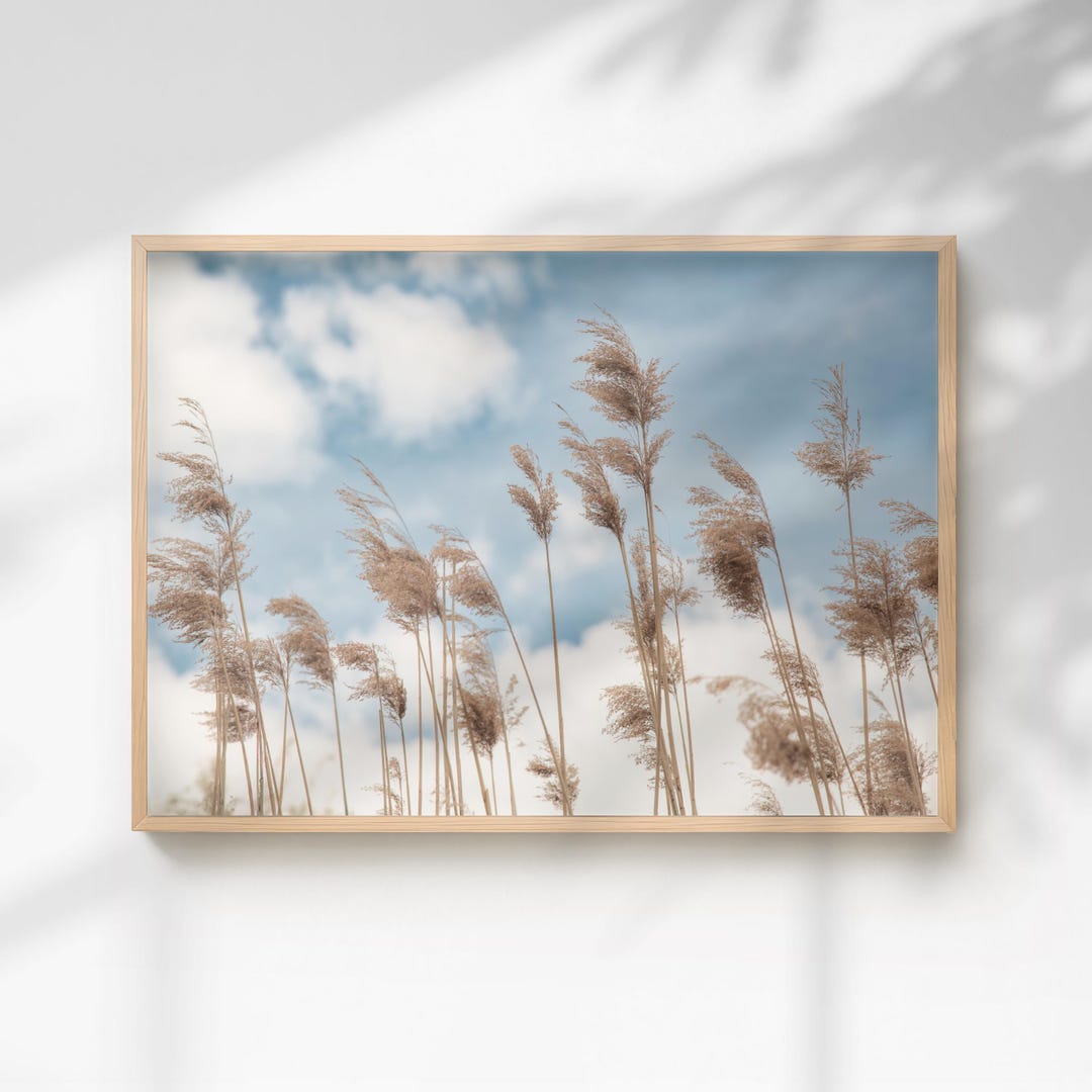 Reeds by the Water as a Poster - Beige & Blue Nature Wall Decor for ...