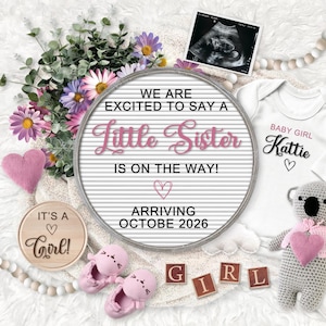 Girl Pregnancy Announcement Digital Baby Announcement Editable Template Instant Download Girl Gender Reveal For Social Media Pink Teddy Bear
