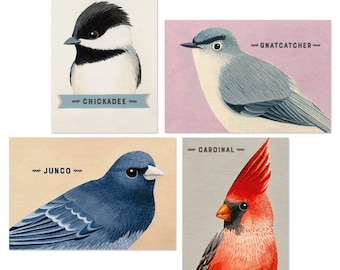 Juego de 4 postales de pájaros