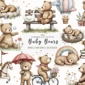 Modèles, Modèles Canva, Modèles Instagram, Lot, Cadres, PNG, Formats, Cartes, Cartes pliantes, Ours