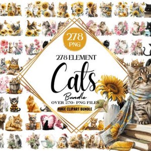 Plantillas, plantillas de Canva, plantillas de Instagram, paquete, marcos, PNG, formatos, tarjetas, tarjetas plegables, gatos, gato