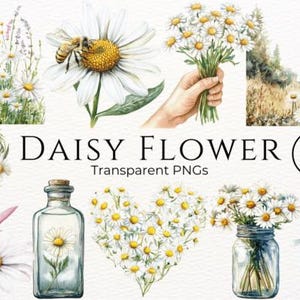 Modèles, modèles Canva, modèles Instagram, bundle, cadres, PNG, formats, cartes, cartes pliantes, fleurs