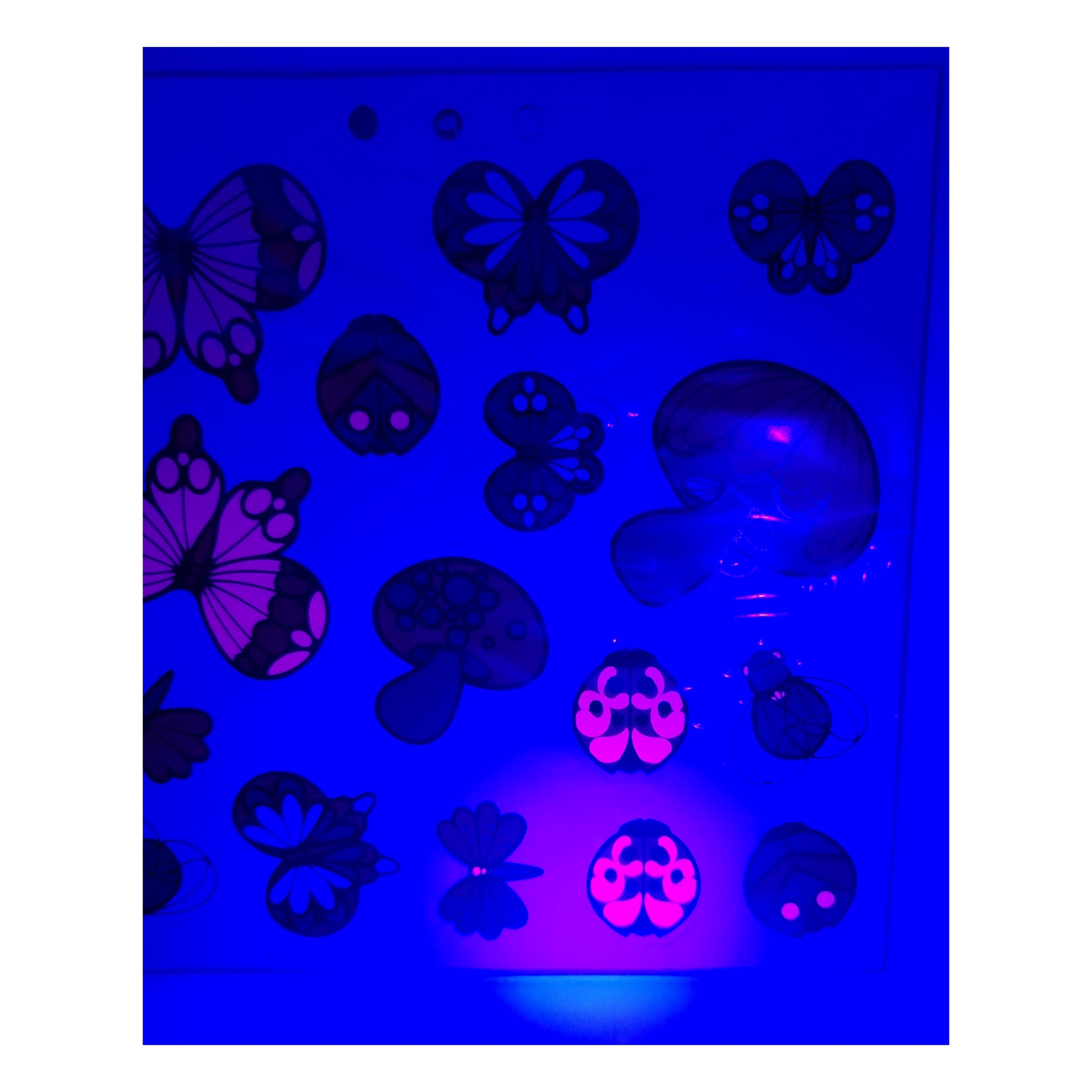 Deadstock 1970's Psychedelic Mushroom Butterfly and Bugs Blacklight
