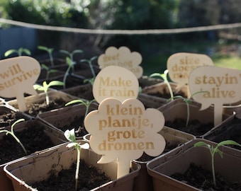 Plantenlabels 'Planten met persoonlijkheid' 12 stuks