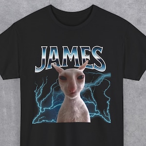 James Funny Cat Meme Unisex T-Shirt - Heavy Cotton Tee