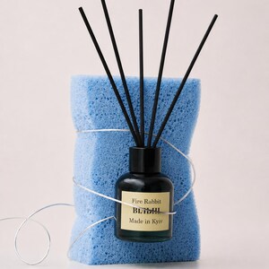 Reed Diffuser - Mint and Eucalyptus, Natural Aroma Diffuser 120ml, Home Fragrance Gift