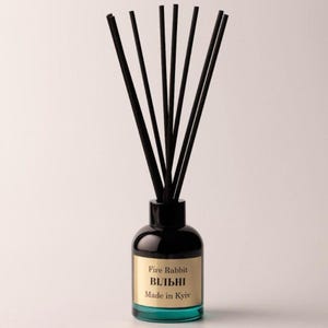 Diffuseur à bâtonnets - Menthe et eucalyptus, diffuseur d'arômes naturels 120 ml, cadeau parfumé pour la maison