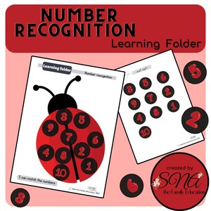 Number Recognition Learning File Folder: Ladybug Matching Game (PDF Download)