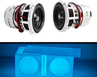 Glow in the Dark Dual Ported Enclosure W/ B2 Audio Rampage RC2
