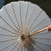 see more listings in the Parasols section