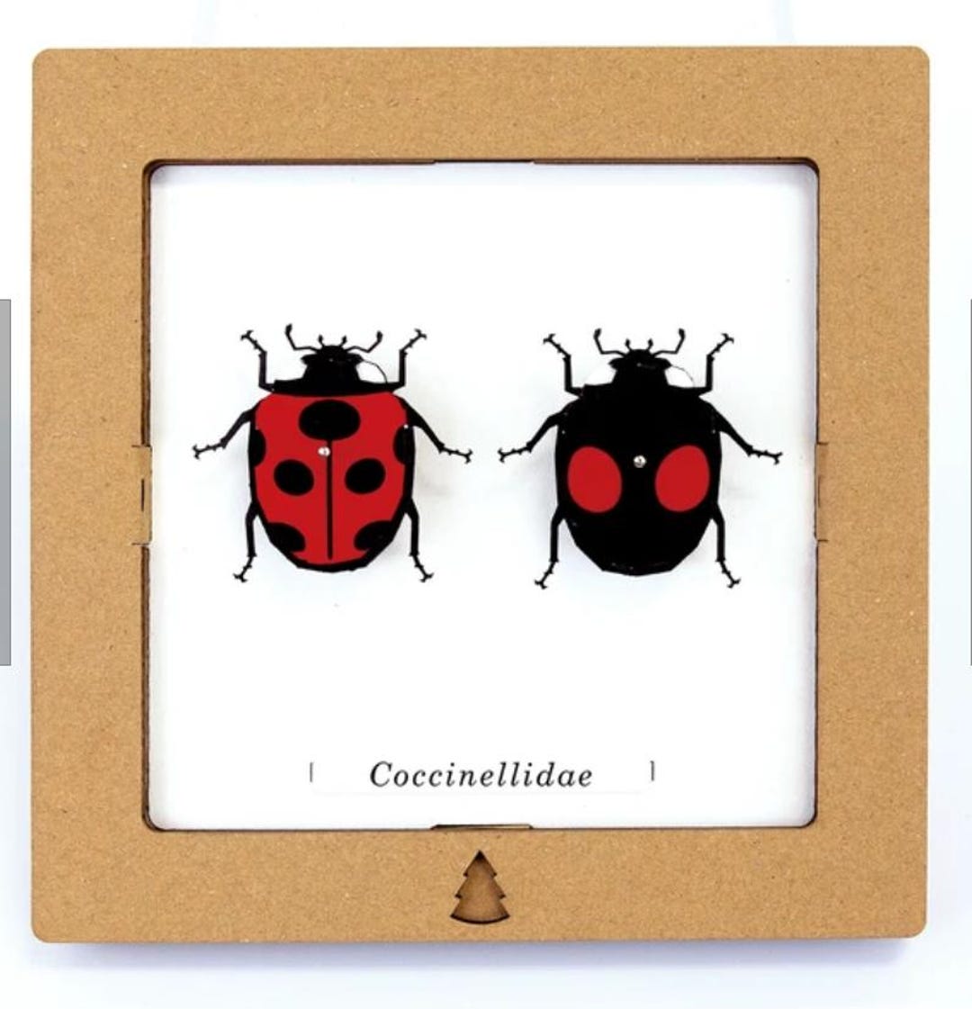 3D Ladybug Paper Craft Kit: Japanese Specimen-style Wall Art - Etsy