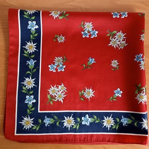 May include: A red square handkerchief with a floral pattern. The handkerchief features white and blue flowers with green stems and leaves. A navy blue border with white trim frames the edges.