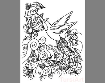 12 Humming Bird Coloring Postcards A Dozen Cards To Color And Mail Spring Garden Flowers By TursiArt Hummingbird Page Mailart
