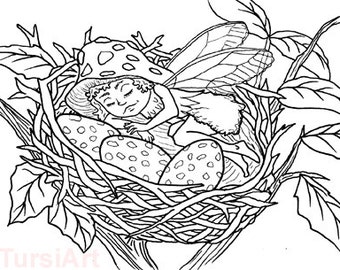 12 Sleeping Fairy In Robins Nest Coloring Postcards One Dozen Cards To Color And Mail Page Mailart By TursiArt Robin Egg