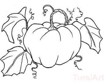 12 Pumpkin Coloring Postcards A Dozen Fall Harvest Cards To Color And Mail Halloween Or Thanksgiving Mailart By TursiArt Page