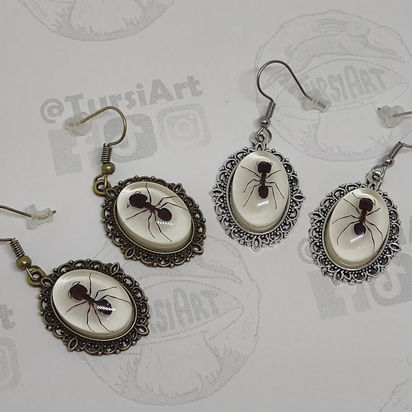 Real Army Ants in resin. Bug dangle earrings in Silver or antique bronze finish. Handmade Jewelry. Taxidermy Insect goth jewelry by TursiArt