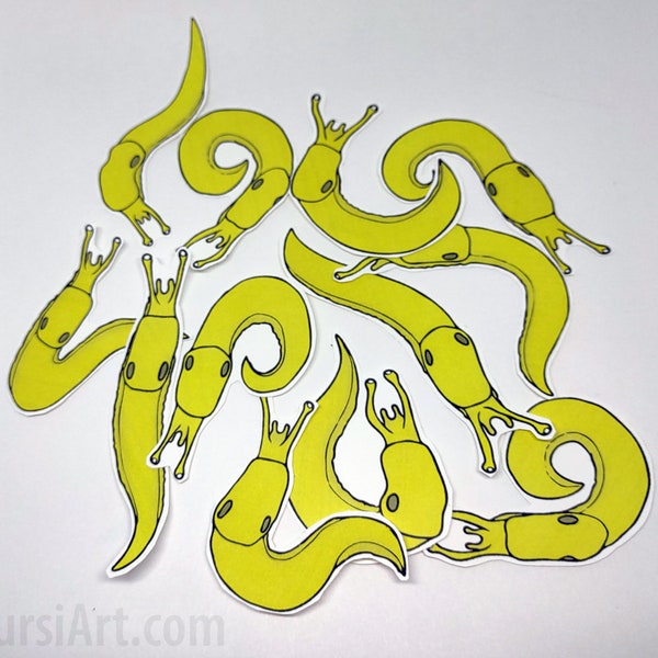 Banana Slug 12 sticker set. Weatherproof and dishwasher safe. A dozen yellow California slugs. Santa Cruz Ariolimax. Handmade by TursiArt